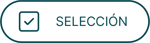 Button-seleccion.png